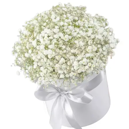 Букет из белой гипсофилы в шляпной коробке