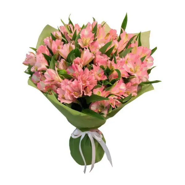 Коралловый риф