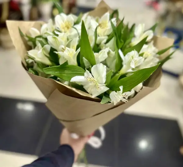 Тихая гармония