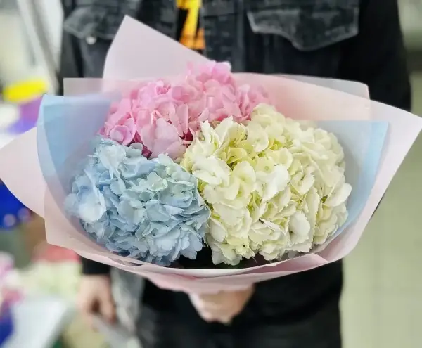 Пастельная симфония