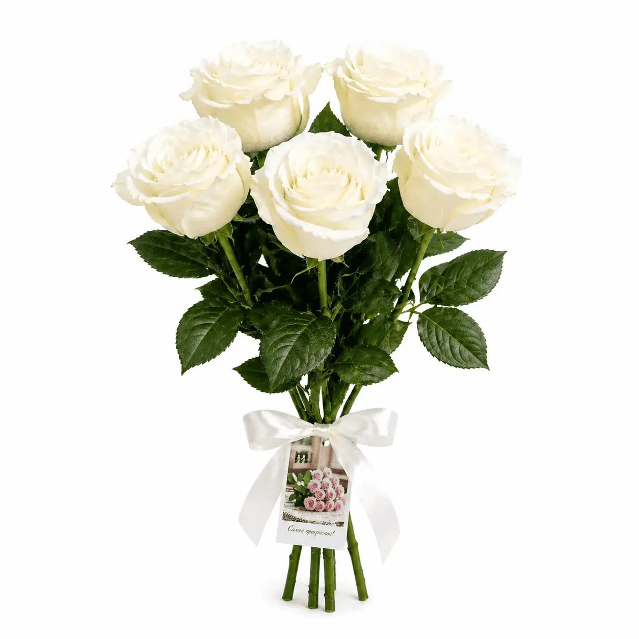 Букет из 5 белых роз под ленту