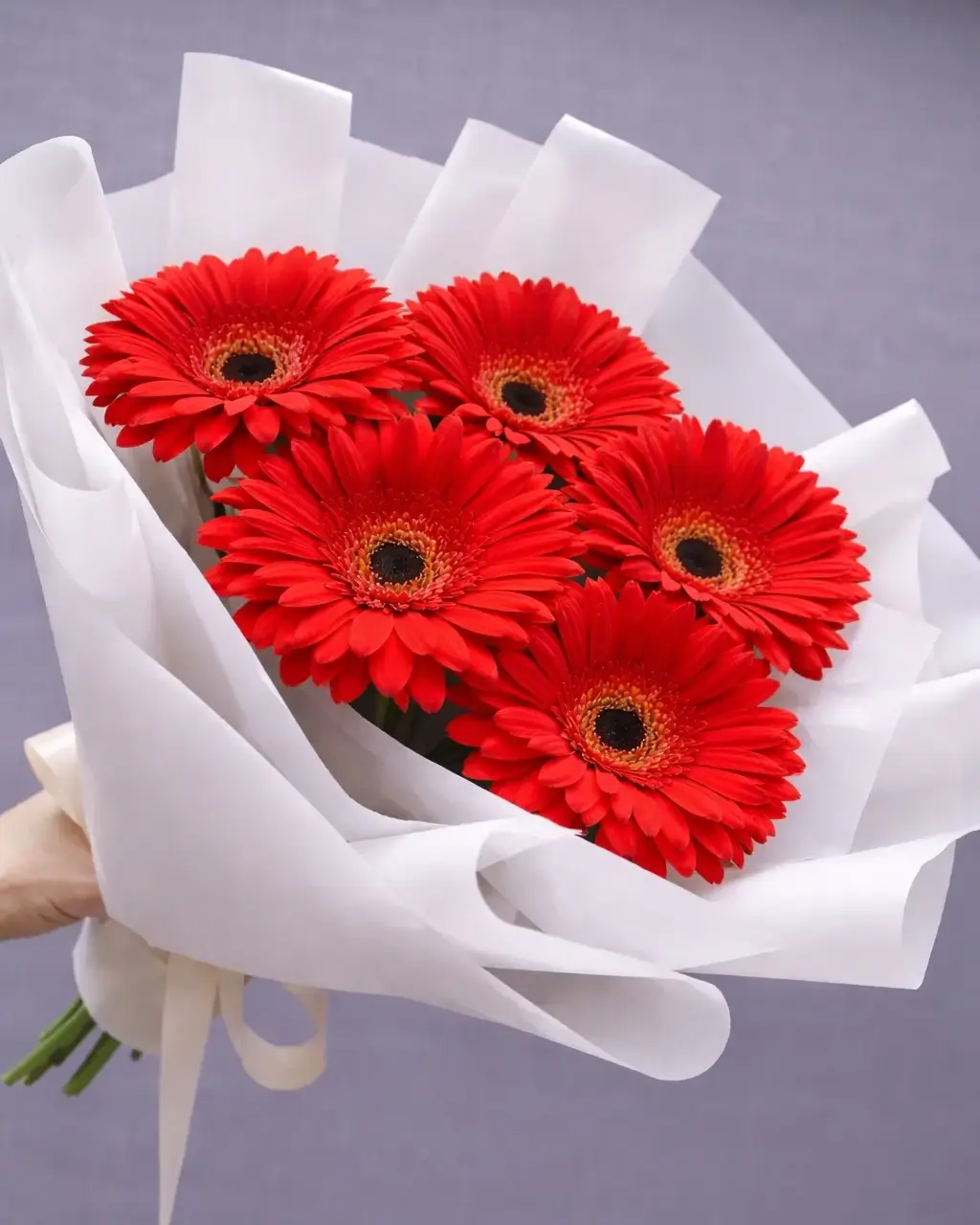 Красное на белом