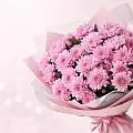 Розовые хризантемы Розовые хризантемы