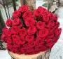 Букет из 51 красной розы