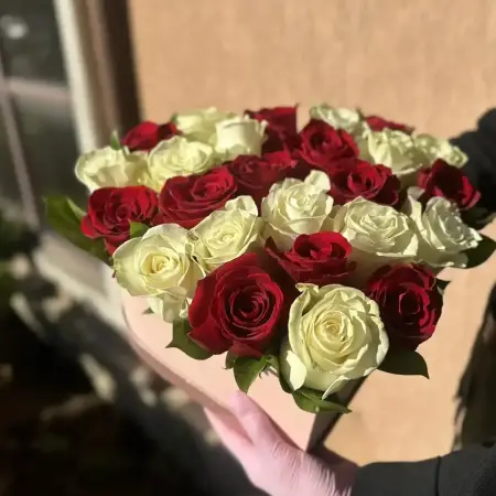 Сердце нежности