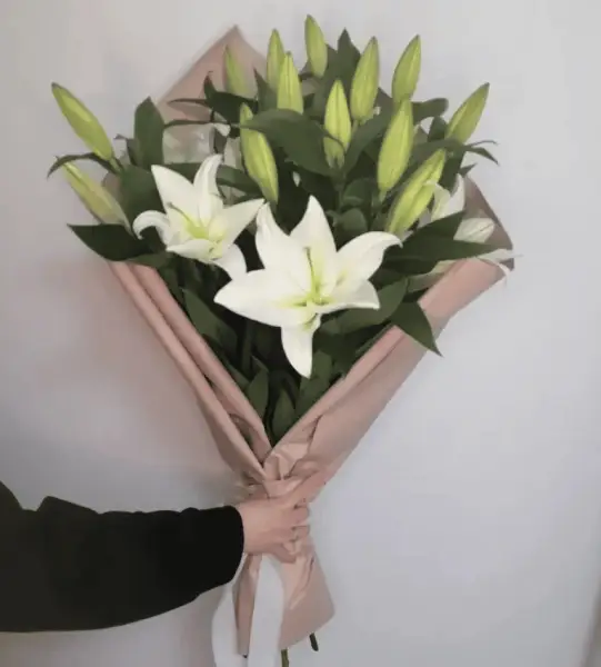 Элегантная классика